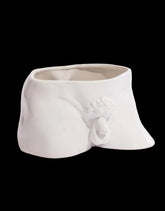 THE FAMOUS ‘WILLY’ POT