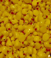 MINIATURE COLLECTABLE DUCKS