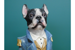 Military Dog / Dog Art