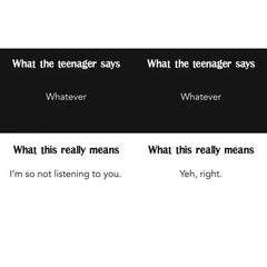 BOOK - Teenagers What They Say & What They Really Mean
