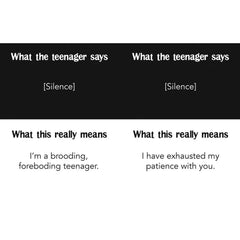 BOOK - Teenagers What They Say & What They Really Mean