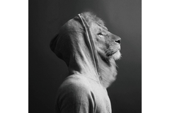 GLASS WALL ART MINI 30x30 ANIMALS MAN CAVE ART