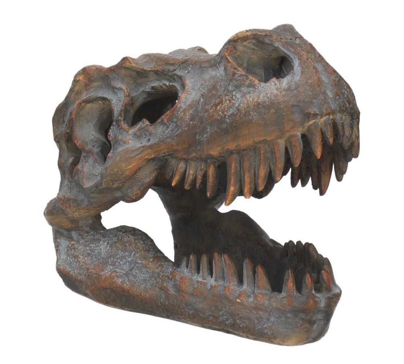 T-REX ORNAMENT / Dinosaur Skull - The Man Cave Broadway