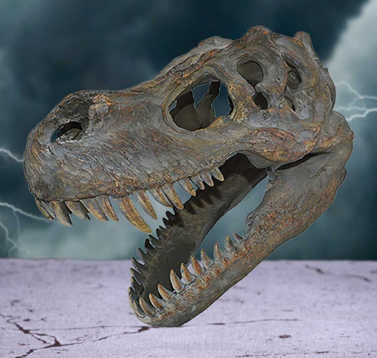 T-REX ORNAMENT / Dinosaur Skull - The Man Cave Broadway
