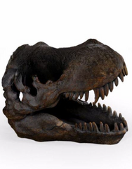T-REX ORNAMENT / Dinosaur Skull