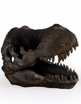 T-REX ORNAMENT / Dinosaur Skull - The Man Cave Broadway