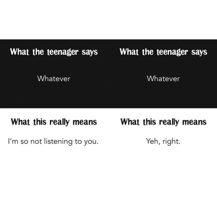 BOOK - Teenagers What They Say  & What They Really Mean