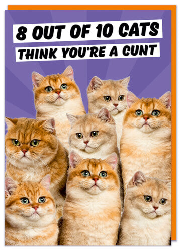 CARDS / FUNNY / BIRTHDAY / RUDE / GREETING CARD / CHRISTMAS CARDS SWEARING