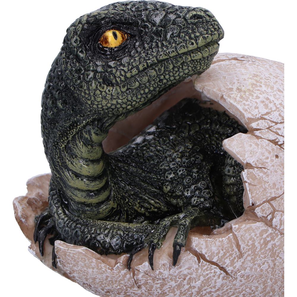 DINOSAUR - RAPTORS DAWN / DINOSAUR EGG HATCHING - The Man Cave Broadway
