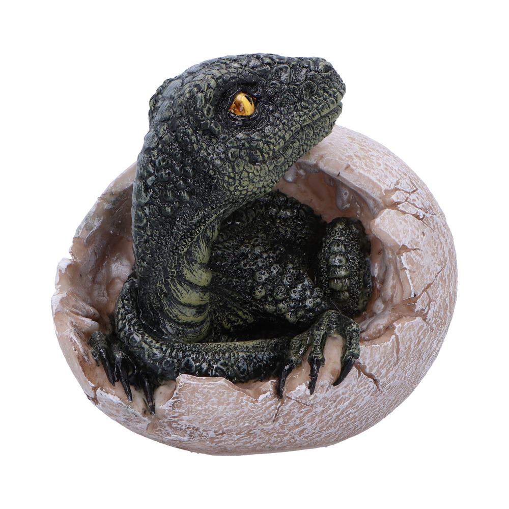 DINOSAUR - RAPTORS DAWN / DINOSAUR EGG HATCHING - The Man Cave Broadway