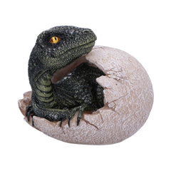 DINOSAUR - RAPTORS DAWN / DINOSAUR EGG HATCHING - The Man Cave Broadway