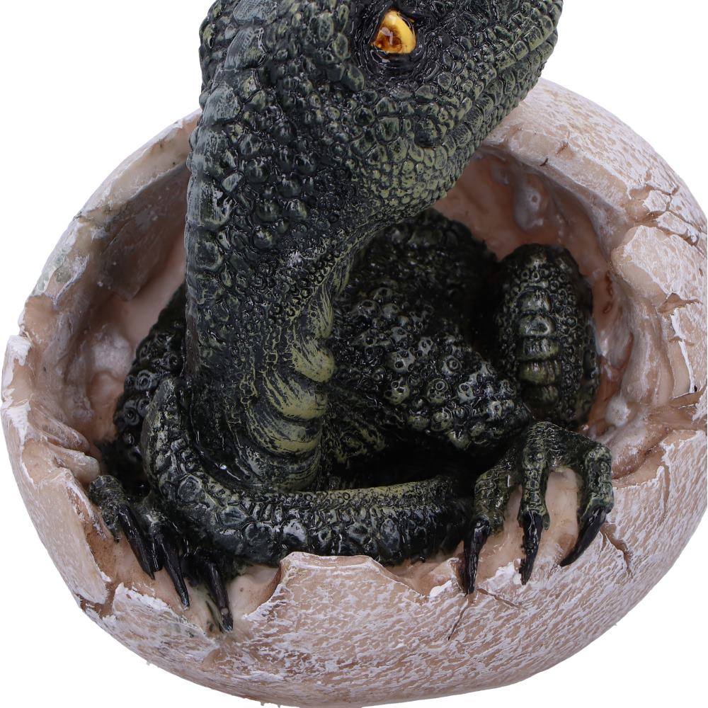 DINOSAUR - RAPTORS DAWN / DINOSAUR EGG HATCHING - The Man Cave Broadway