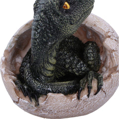 DINOSAUR - RAPTORS DAWN / DINOSAUR EGG HATCHING - The Man Cave Broadway