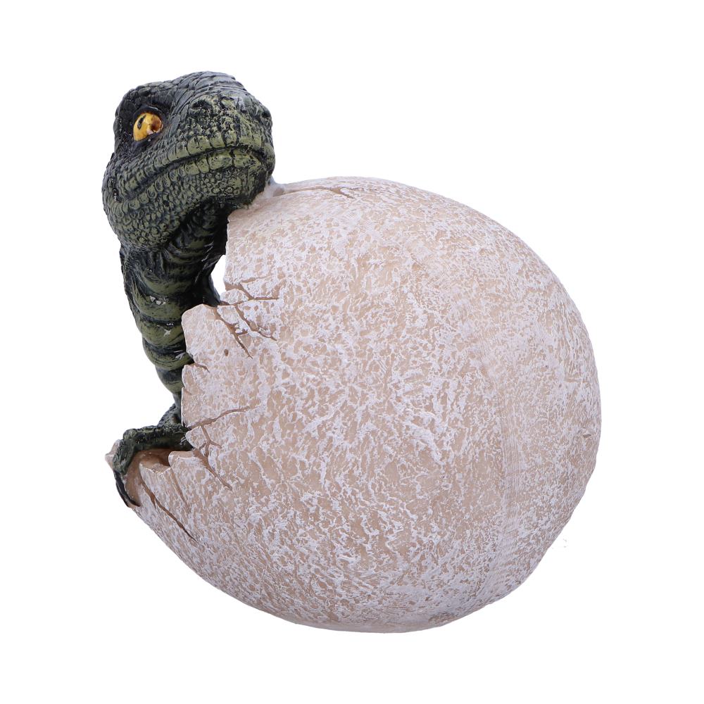DINOSAUR - RAPTORS DAWN / DINOSAUR EGG HATCHING - The Man Cave Broadway