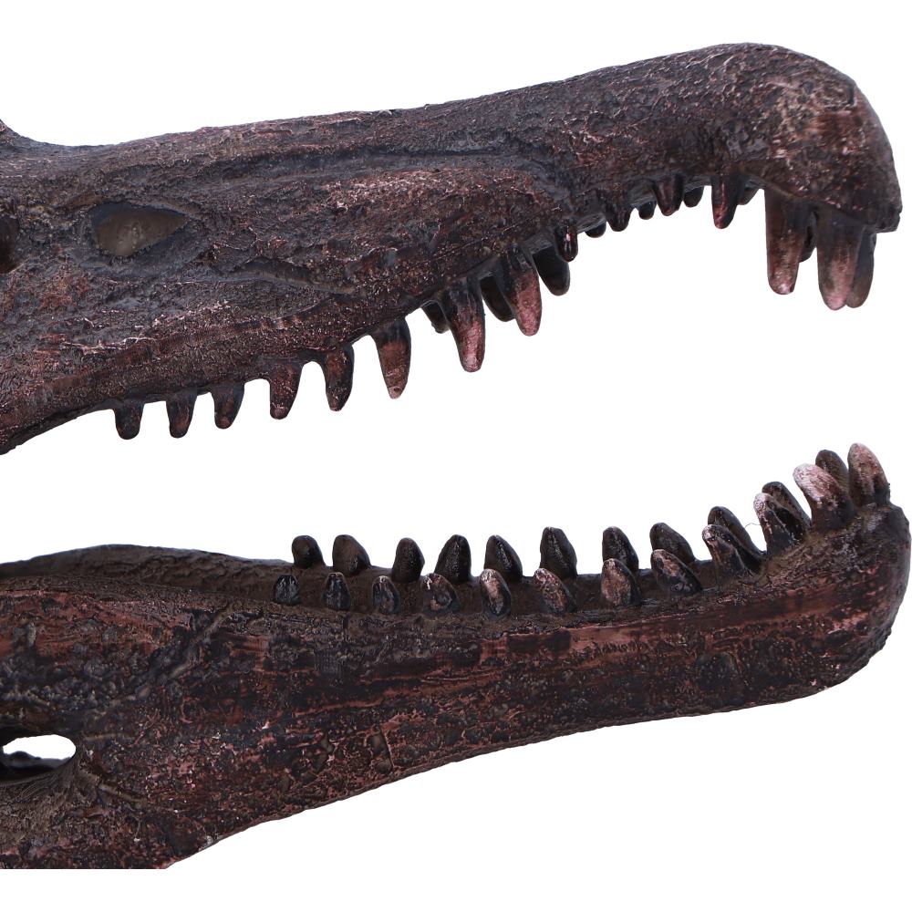 DINOSAUR - SPINOSAURUS SKULL JURASSIC Authentic Replica - The Man Cave Broadway