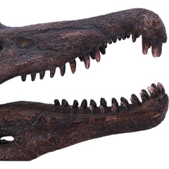 DINOSAUR - SPINOSAURUS SKULL JURASSIC Authentic Replica - The Man Cave Broadway