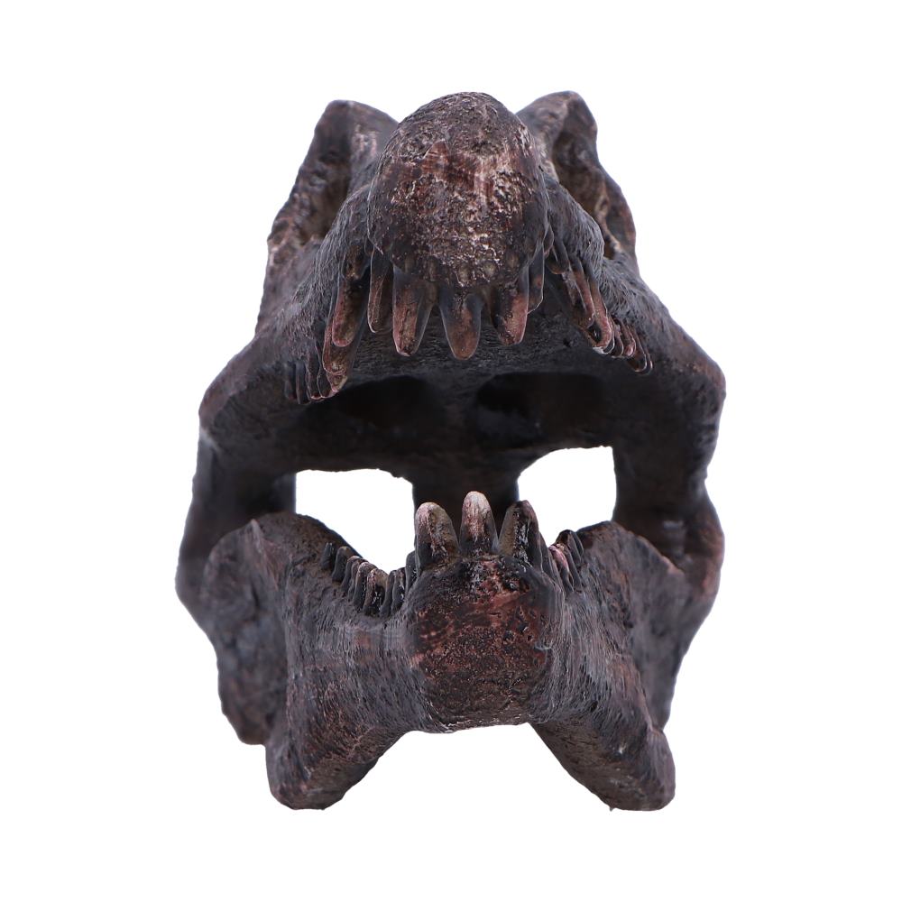 DINOSAUR - SPINOSAURUS SKULL JURASSIC Authentic Replica - The Man Cave Broadway