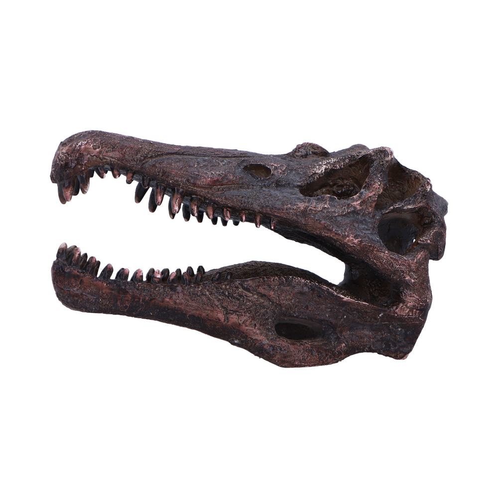 DINOSAUR - SPINOSAURUS SKULL JURASSIC Authentic Replica - The Man Cave Broadway
