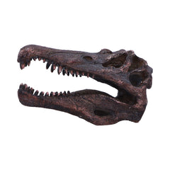 DINOSAUR - SPINOSAURUS SKULL JURASSIC Authentic Replica - The Man Cave Broadway