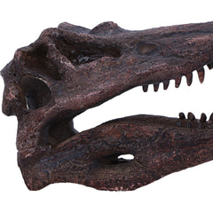 DINOSAUR - SPINOSAURUS SKULL JURASSIC Authentic Replica - The Man Cave Broadway
