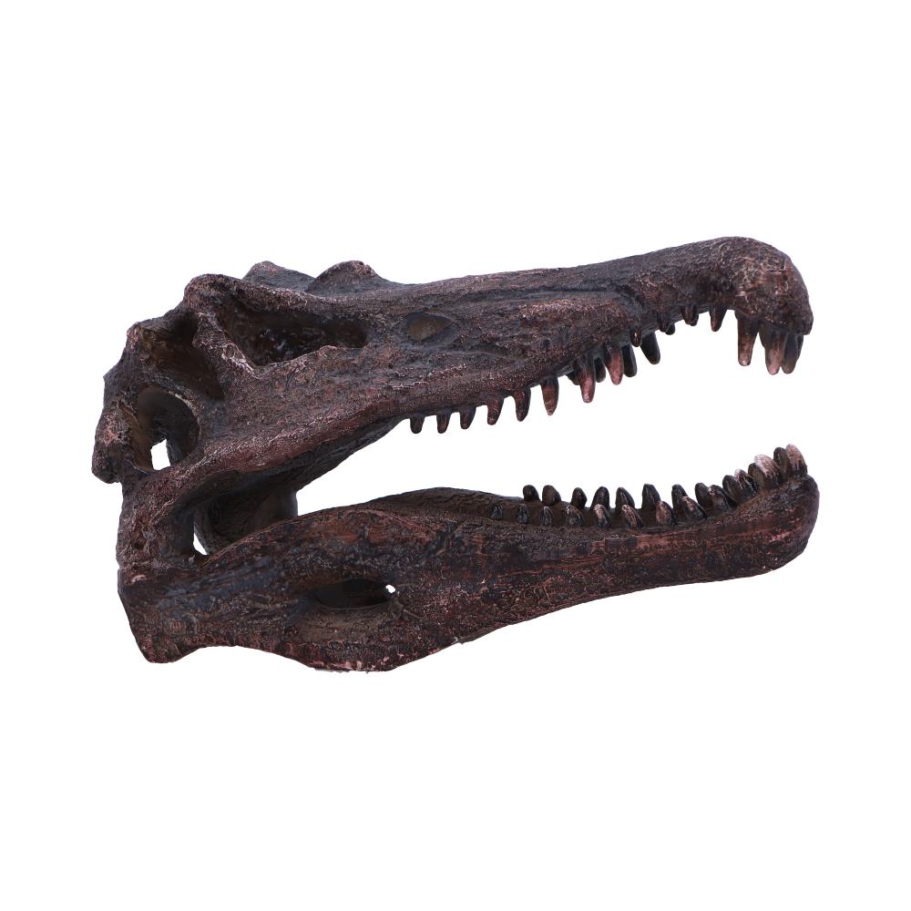 DINOSAUR - SPINOSAURUS SKULL JURASSIC Authentic Replica - The Man Cave Broadway