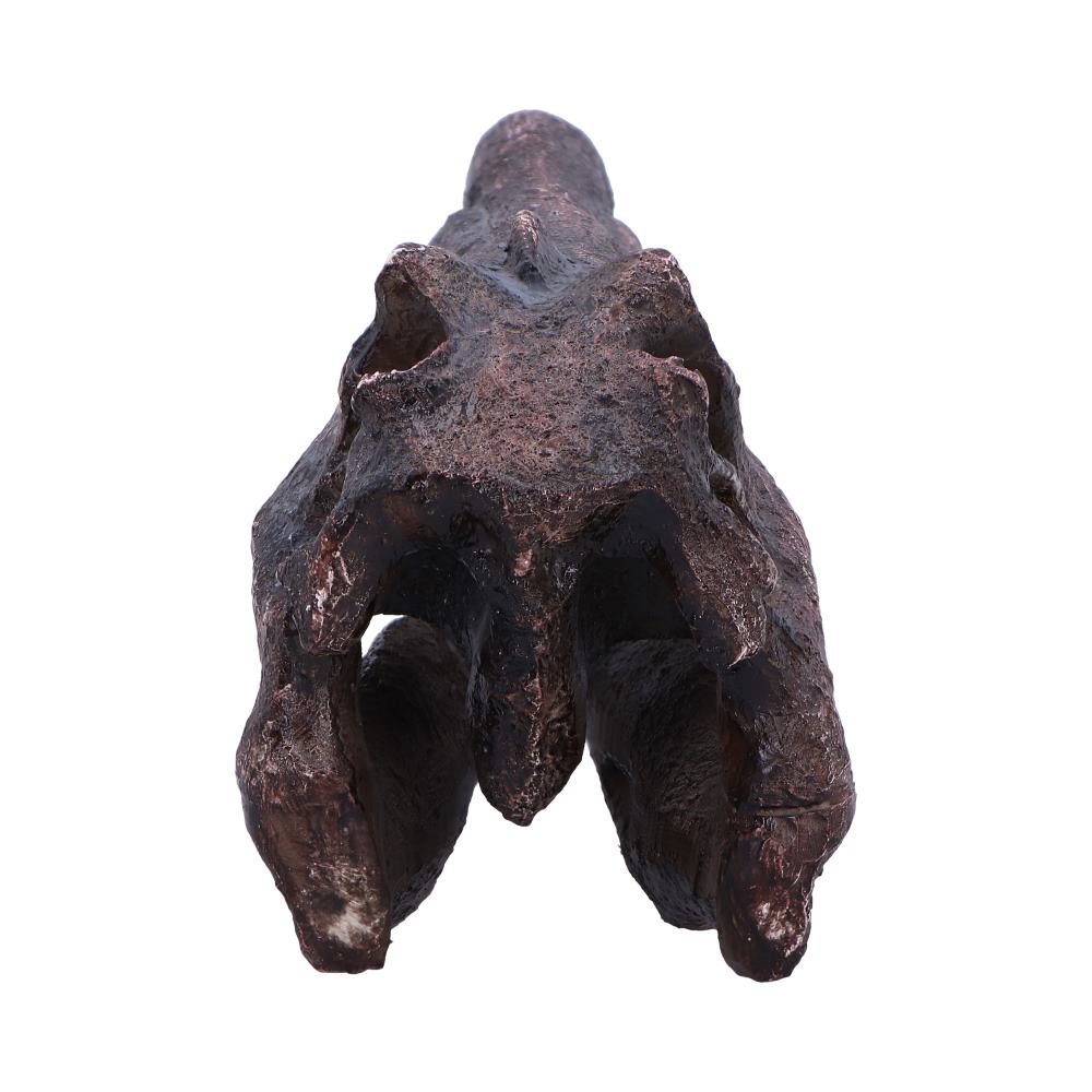 DINOSAUR - SPINOSAURUS SKULL JURASSIC Authentic Replica - The Man Cave Broadway