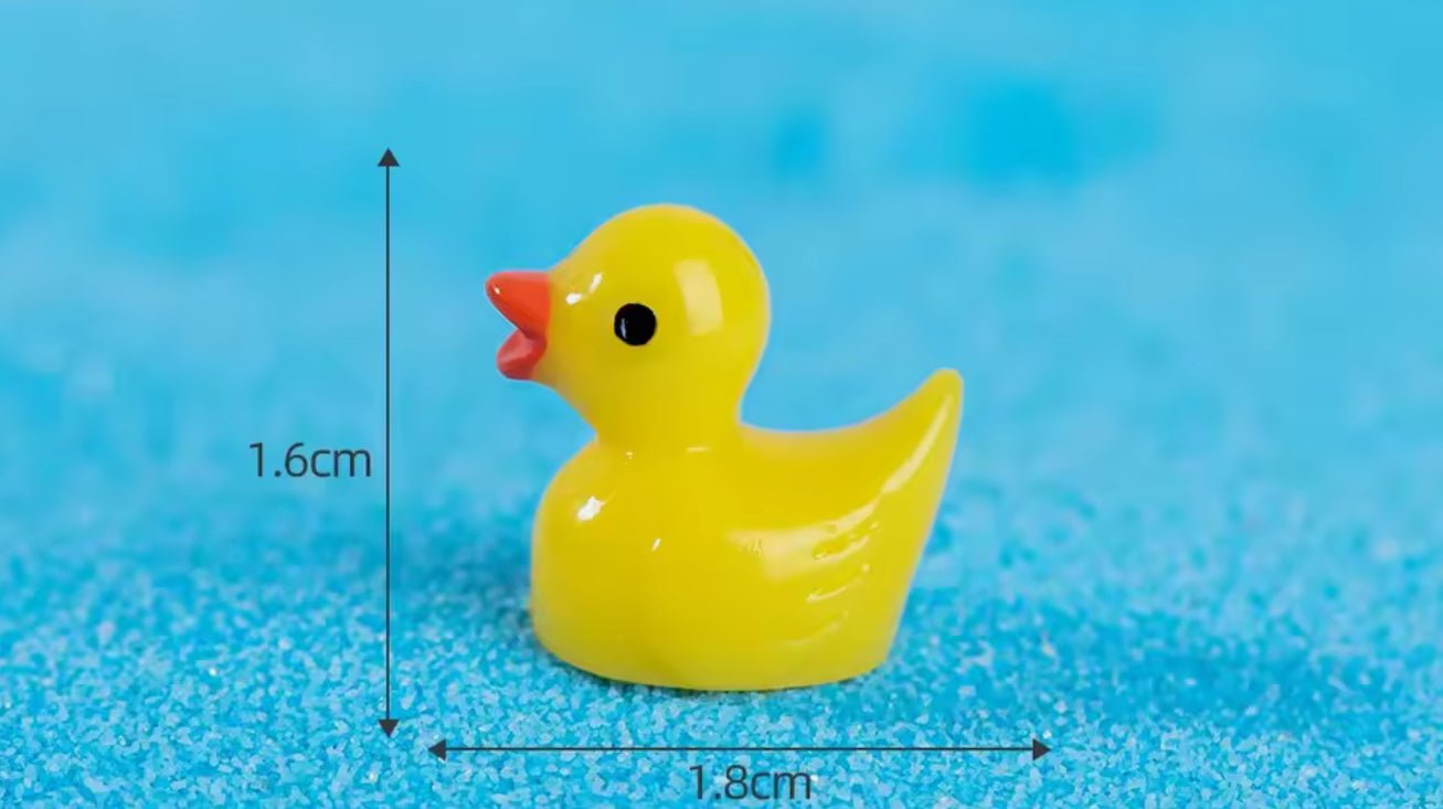MINIATURE TINY COLLECTABLE DUCKS - The Man Cave Broadway