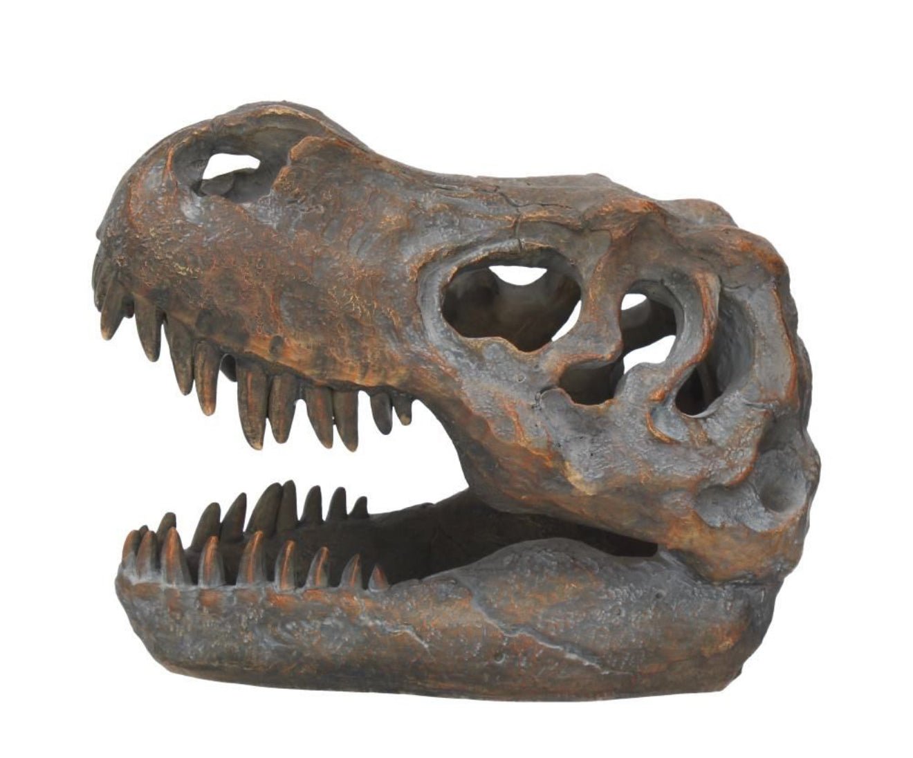 T-REX ORNAMENT / Dinosaur Skull - The Man Cave Broadway
