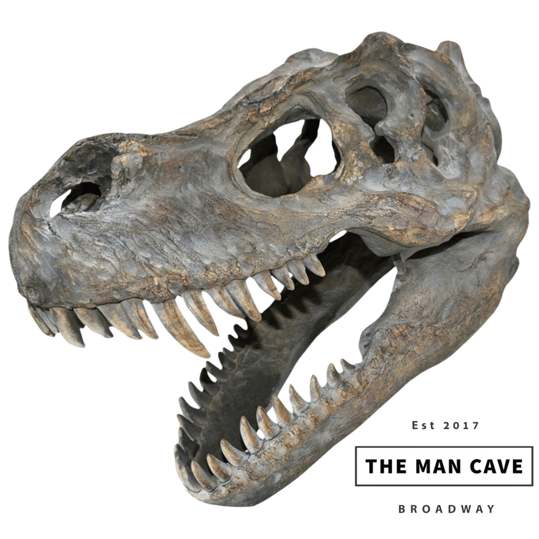 T-REX ORNAMENT / Dinosaur Skull - The Man Cave Broadway