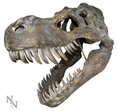 T-REX ORNAMENT / Dinosaur Skull - The Man Cave Broadway