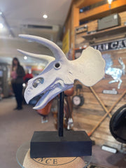 Triceratops Skull - The Man Cave Broadway