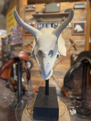 Triceratops Skull - The Man Cave Broadway