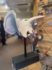 Triceratops Skull - The Man Cave Broadway